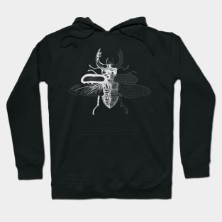 Geometric Beetle Clear Hoodie